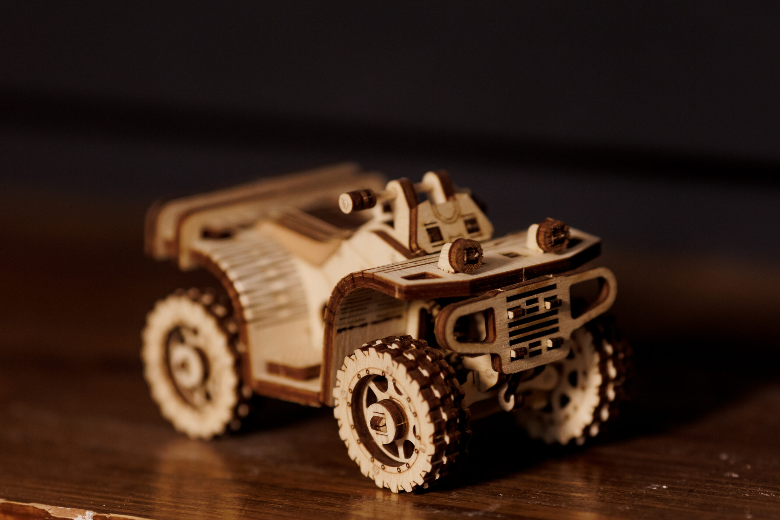 ATV 3D Pusle - Image 5